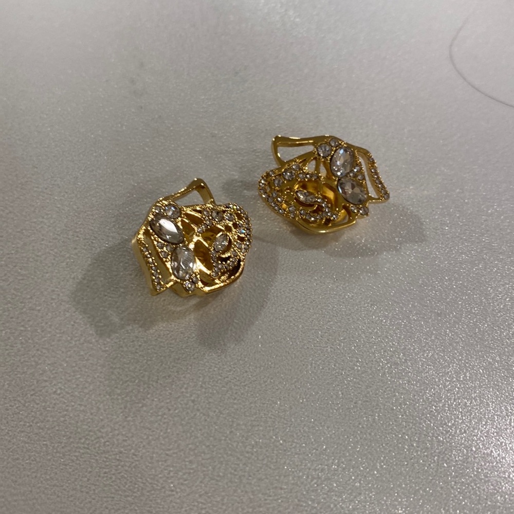 Never worn Anne Fontaine rose collar clips